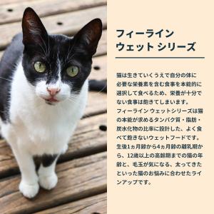 ロイヤルカナン 猫 キャットフード ウェットフ...の詳細画像4