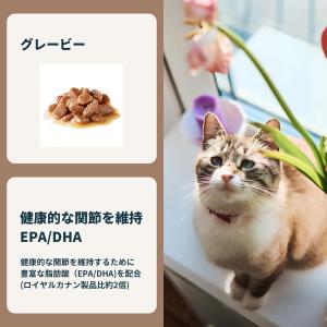 ロイヤルカナン 猫 キャットフード ウェットフ...の詳細画像5