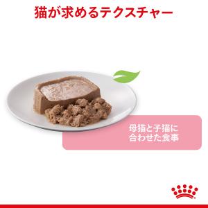 ロイヤルカナン 猫 キャットフード ウェットフ...の詳細画像1