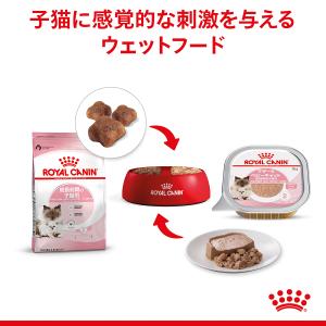 ロイヤルカナン 猫 キャットフード ウェットフ...の詳細画像3