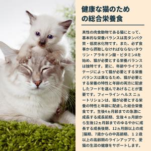 ロイヤルカナン 猫 キャットフード ウェットフ...の詳細画像5
