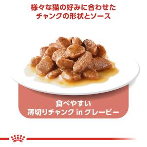 ロイヤルカナン 猫 キャットフード ウェットフ...の詳細画像3