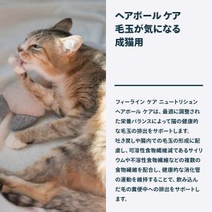 ロイヤルカナン 猫 キャットフード ウェットフ...の詳細画像5