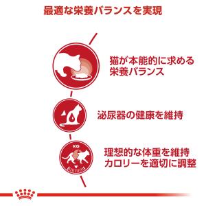 ロイヤルカナン 猫 キャットフード ウェットフ...の詳細画像2