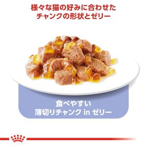 ロイヤルカナン 猫 キャットフード ウェットフ...の詳細画像3