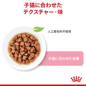 ロイヤルカナン 猫 キャットフード ウェットフ...の詳細画像1