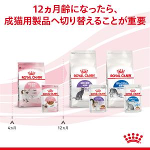 ロイヤルカナン 猫 キャットフード ウェットフ...の詳細画像4