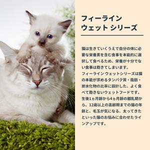 ロイヤルカナン 猫 キャットフード ウェットフ...の詳細画像5