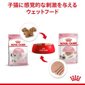 ロイヤルカナン 猫 キャットフード ウェットフ...の詳細画像3