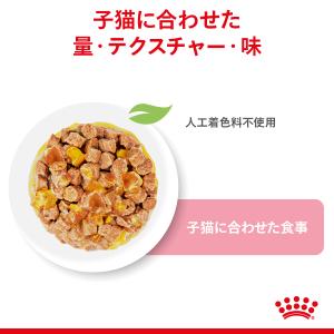 ロイヤルカナン 猫 キャットフード ウェットフ...の詳細画像1