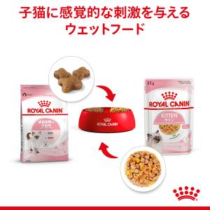 ロイヤルカナン 猫 キャットフード ウェットフ...の詳細画像3