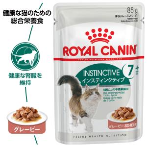 ロイヤルカナン 猫 キャットフード ウェットフ...の詳細画像1