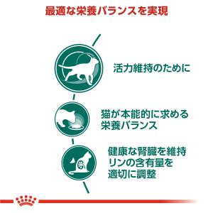 ロイヤルカナン 猫 キャットフード ウェットフ...の詳細画像2