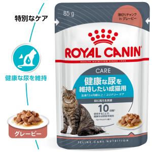 ロイヤルカナン 猫 キャットフード ウェットフ...の詳細画像1