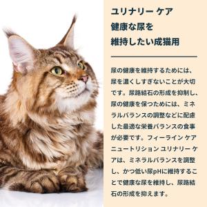 ロイヤルカナン 猫 キャットフード ウェットフ...の詳細画像5