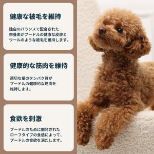 ロイヤルカナン 犬 ドッグフード ウェット プ...の詳細画像5