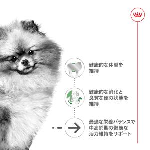 ロイヤルカナン 犬 ドッグフード ミニ インド...の詳細画像1