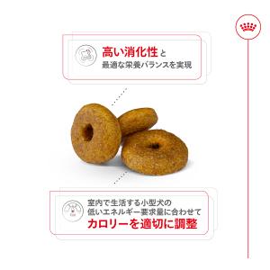 ロイヤルカナン 犬 ドッグフード ミニ インド...の詳細画像2