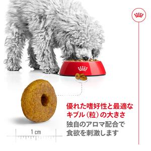 ロイヤルカナン 犬 ドッグフード ミニ インド...の詳細画像3