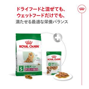 ロイヤルカナン 犬 ドッグフード ミニ インド...の詳細画像4