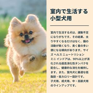 ロイヤルカナン 犬 ドッグフード ミニ インド...の詳細画像5