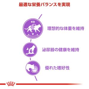 ロイヤルカナン 猫 キャットフード ステアライ...の詳細画像2