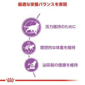 ロイヤルカナン 猫 キャットフード ステアライ...の詳細画像2