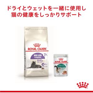 ロイヤルカナン 猫 キャットフード ステアライ...の詳細画像4