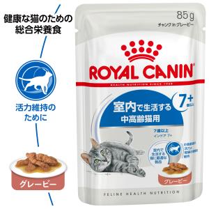 ロイヤルカナン 猫 キャットフード ウェット ...の詳細画像1