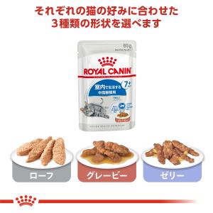 ロイヤルカナン 猫 キャットフード ウェット ...の詳細画像2