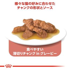 ロイヤルカナン 猫 キャットフード ウェット ...の詳細画像3