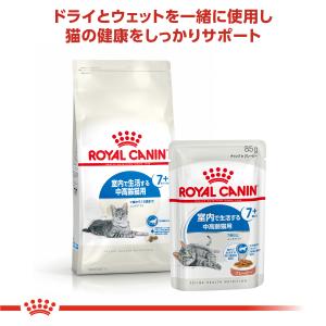 ロイヤルカナン 猫 キャットフード ウェット ...の詳細画像4