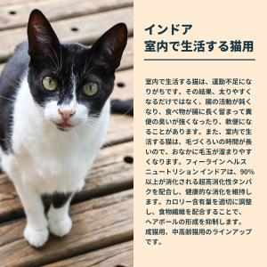 ロイヤルカナン 猫 キャットフード ウェット ...の詳細画像5