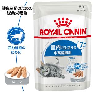 ロイヤルカナン 猫 キャットフード ウェット ...の詳細画像1