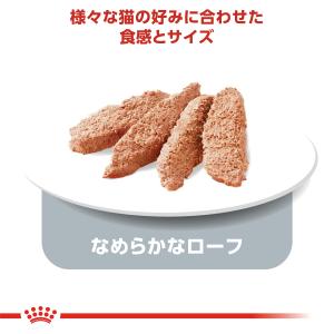 ロイヤルカナン 猫 キャットフード ウェット ...の詳細画像3