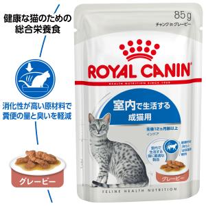 ロイヤルカナン 猫 キャットフード ウェット ...の詳細画像1