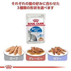 ロイヤルカナン 猫 キャットフード ウェット ...の詳細画像2