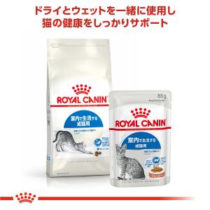 ロイヤルカナン 猫 キャットフード ウェット ...の詳細画像4