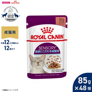 ロイヤルカナン 犬 エイジングケア ウェット パウチ 85g ×24袋 : 良品