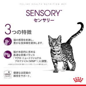 ロイヤルカナン 猫 キャットフード ウェット ...の詳細画像2