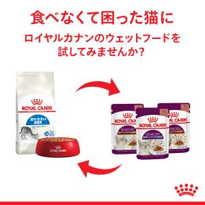ロイヤルカナン 猫 キャットフード ウェット ...の詳細画像5