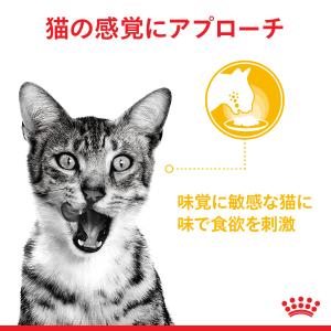 ロイヤルカナン 猫 キャットフード ウェット ...の詳細画像3