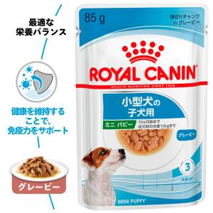 ロイヤルカナン 犬 ドッグフード ウェット ミ...の詳細画像1