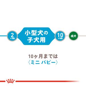 ロイヤルカナン 犬 ドッグフード ウェット ミ...の詳細画像2