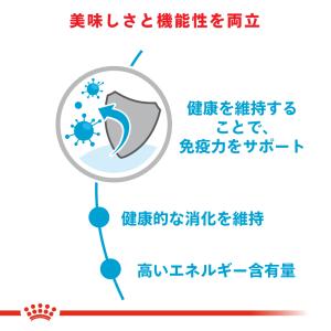 ロイヤルカナン 犬 ドッグフード ウェット ミ...の詳細画像3