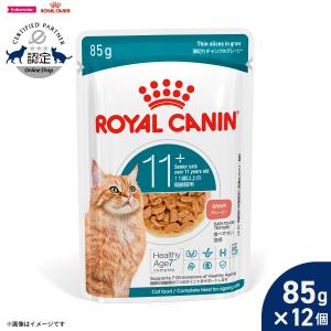 ロイヤルカナン キャットフード ウェット グレー...の商品画像