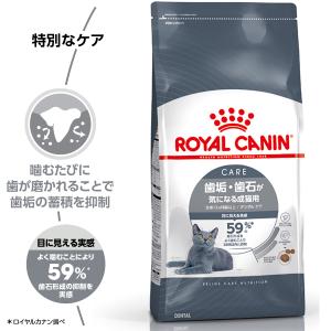 ロイヤルカナン 猫 キャットフード デンタルケ...の詳細画像1