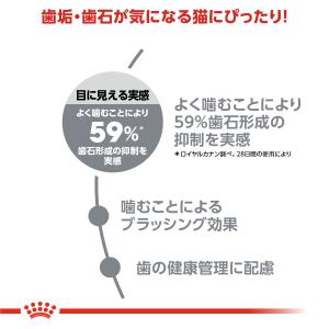 ロイヤルカナン 猫 キャットフード デンタルケ...の詳細画像2