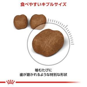 ロイヤルカナン 猫 キャットフード デンタルケ...の詳細画像3