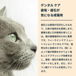 ロイヤルカナン 猫 キャットフード デンタルケ...の詳細画像4